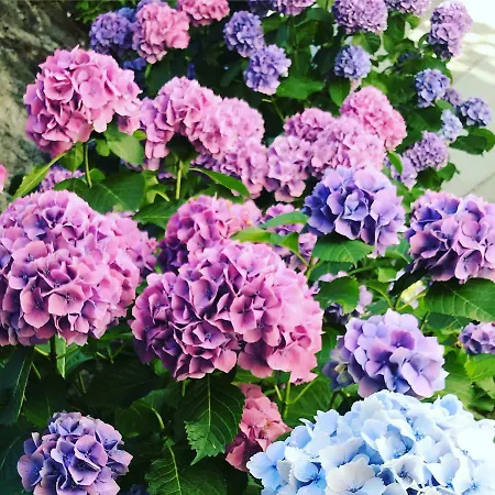 Апартаменты Romeo